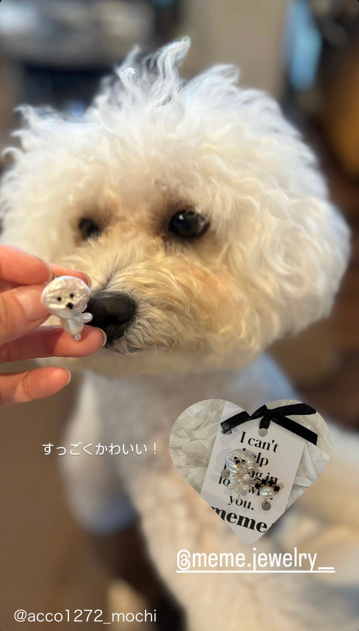 SHIROINU Pearl Puppy Earrings