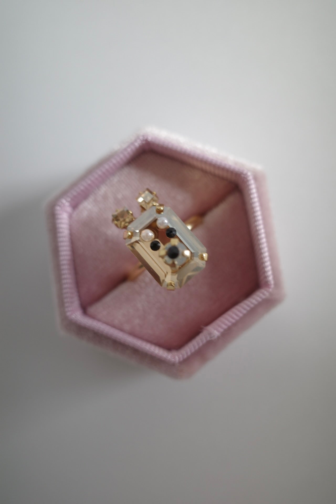 meme dogs ring Schnauzer &Shiba