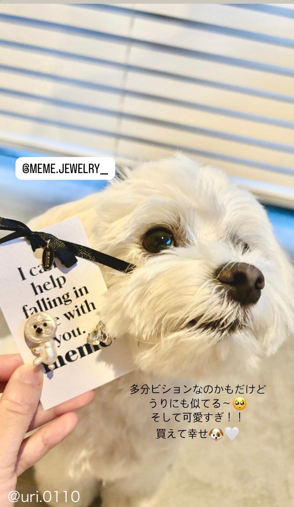 SHIROINU Pearl Puppy Earrings