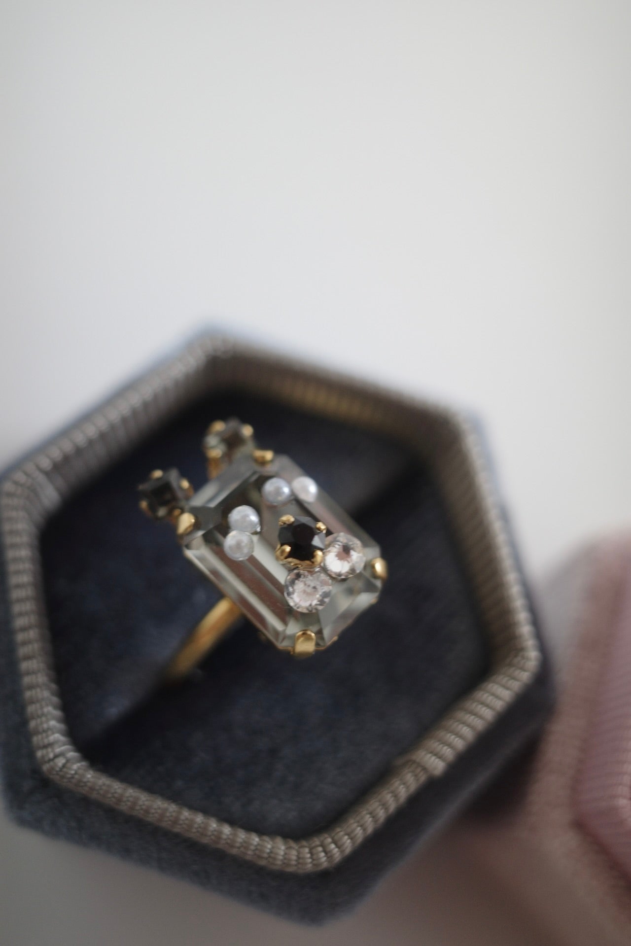 meme dogs ring Schnauzer &Shiba