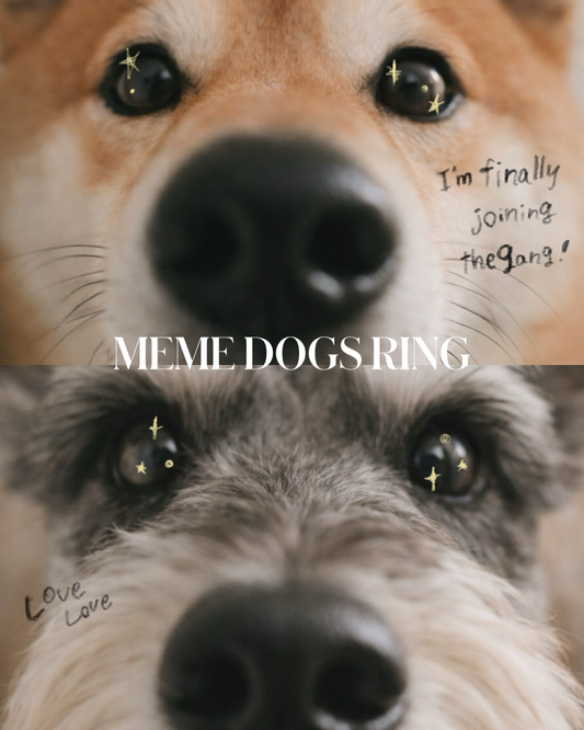 meme dogs ring Schnauzer &Shiba
